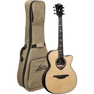 LAG HV50ACE Hyvibe<p> Auditorium Cutaway